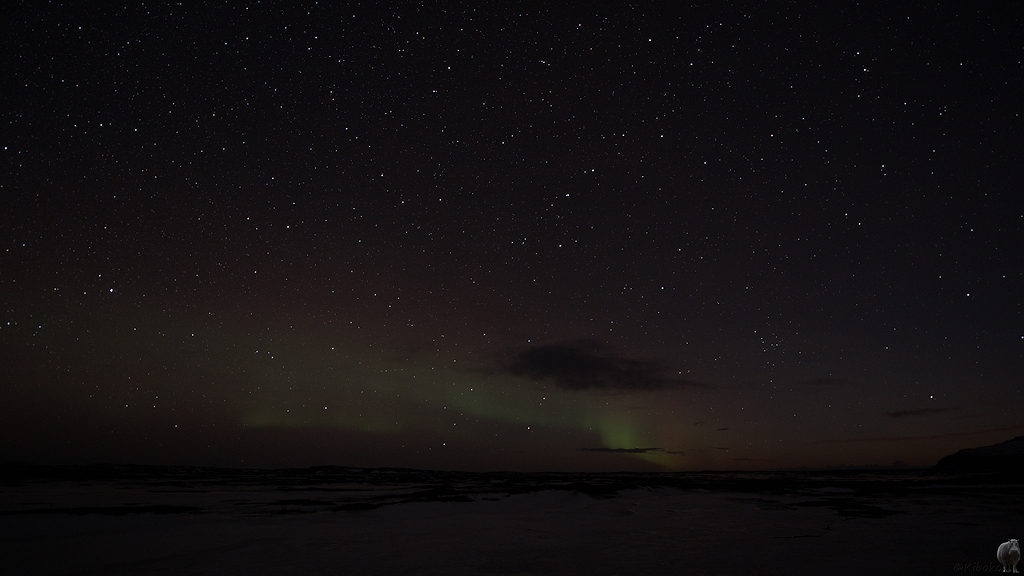 bei Dyrfjöll
Das Nordlicht war nur knapp über dem Horizont und sehr schwach
 5606  1