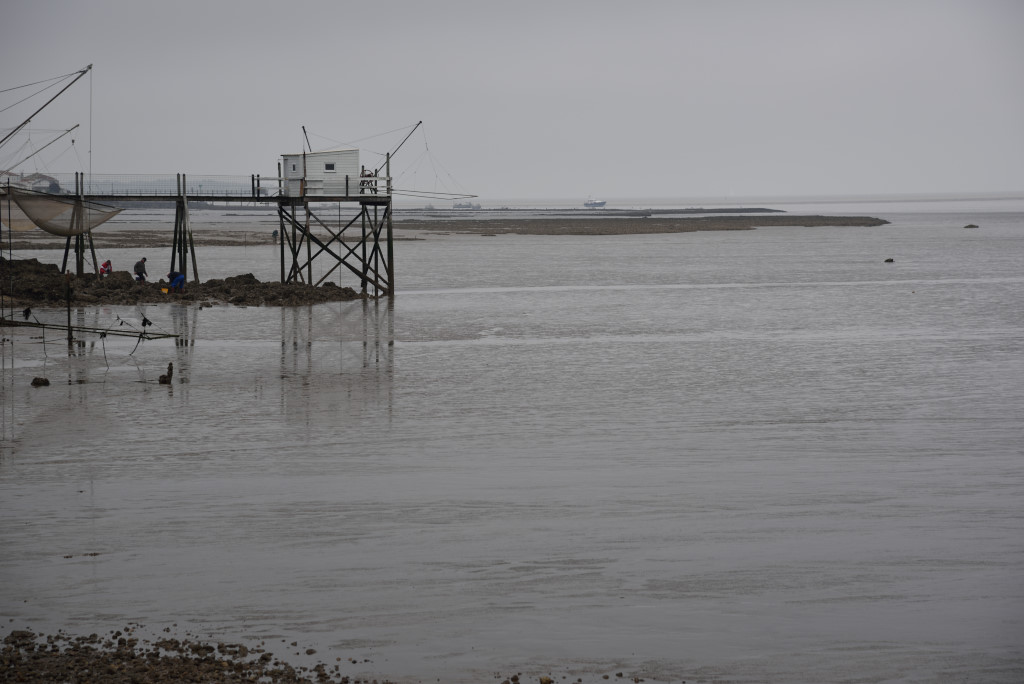 Bei Fouras (Charente Maritime)
DSE 0212