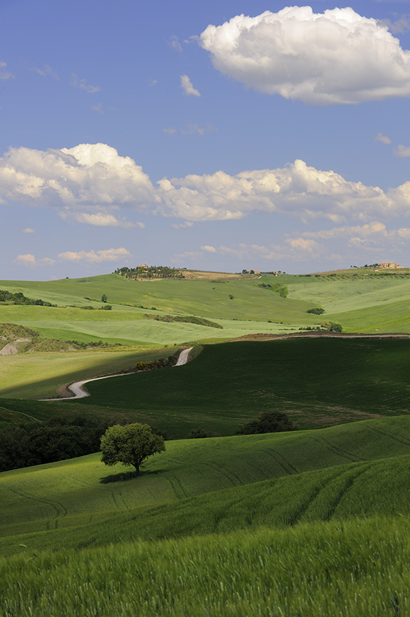 bei Pienza