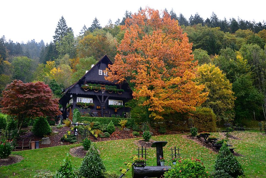 Bei Schapbach 2015 16084