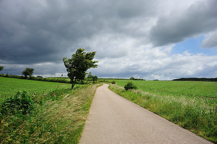 beiDollerupholz WindimLand14