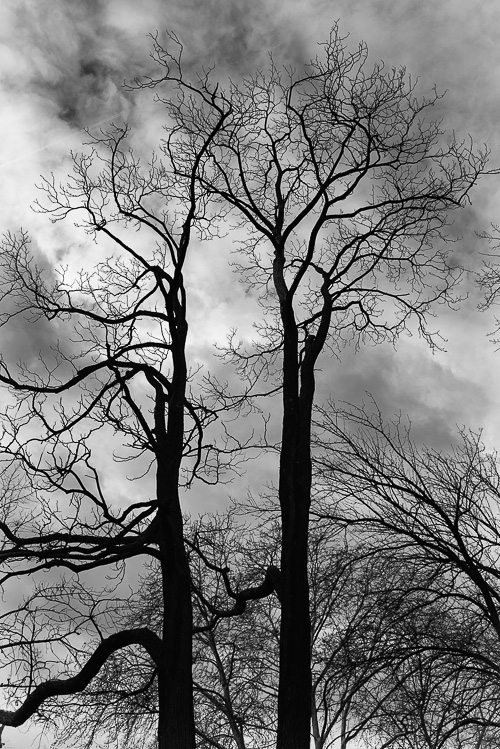 Beim Spaziergang im Neuenheimer Feld (Uni) Heidelberg, Dez. 2013