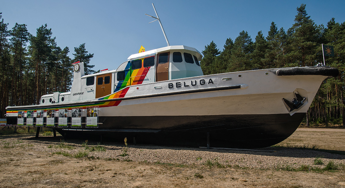 Beluga 1