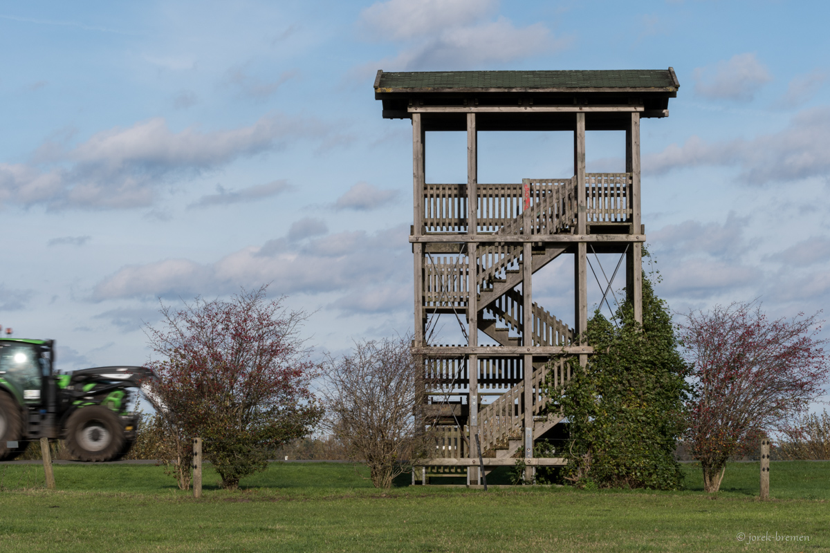 Beobachtungsturm Am Hollerdeich