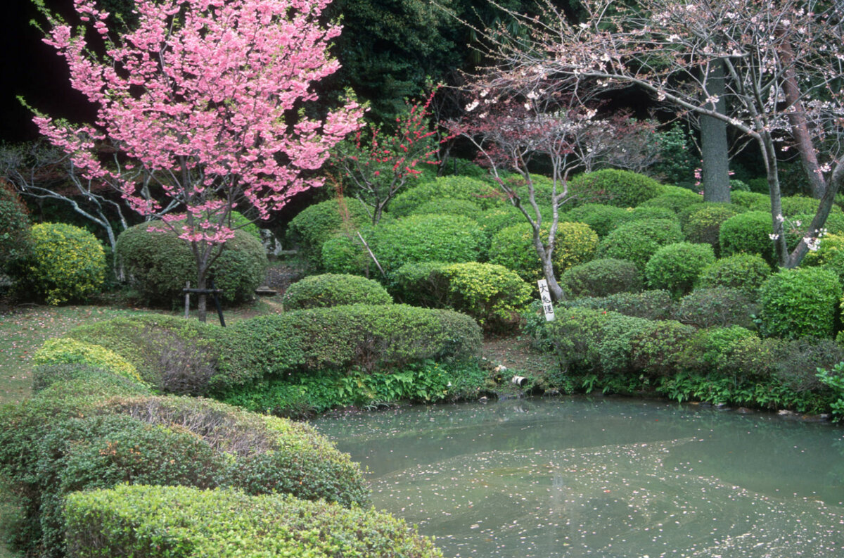 Beppu, Park 2.jpg