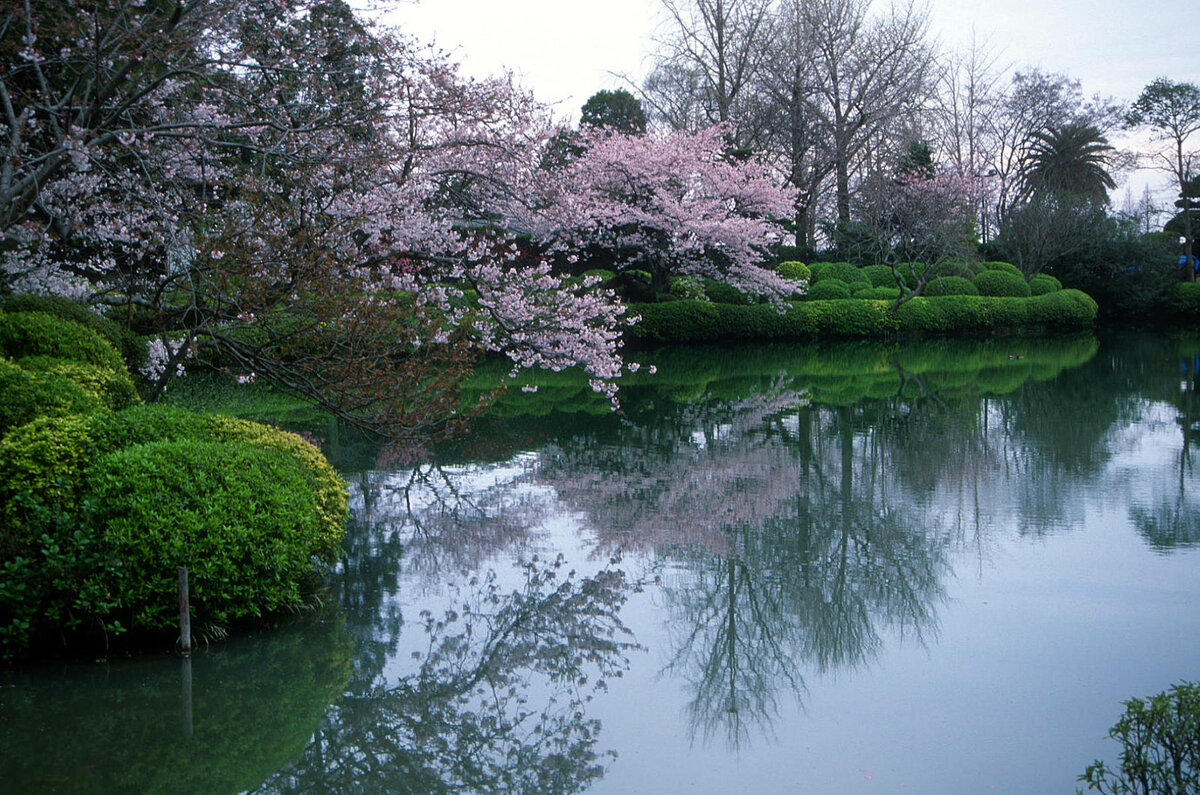 Beppu, Park.jpg