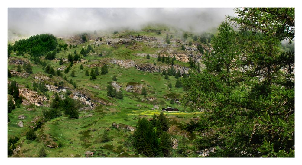 Bergfruehling