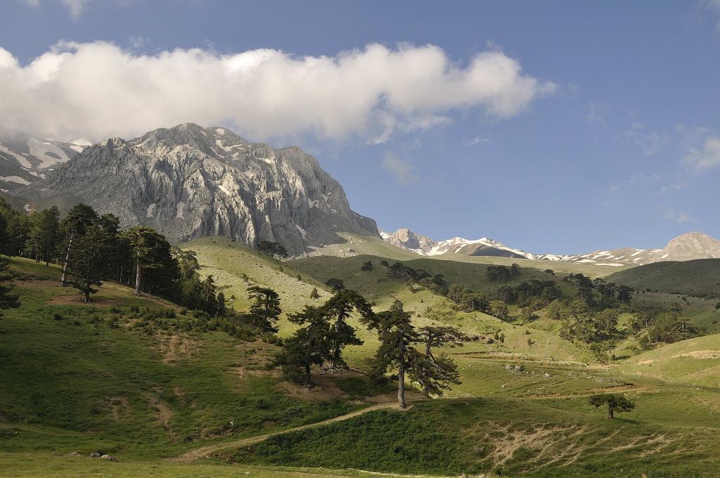 Berglandschaft