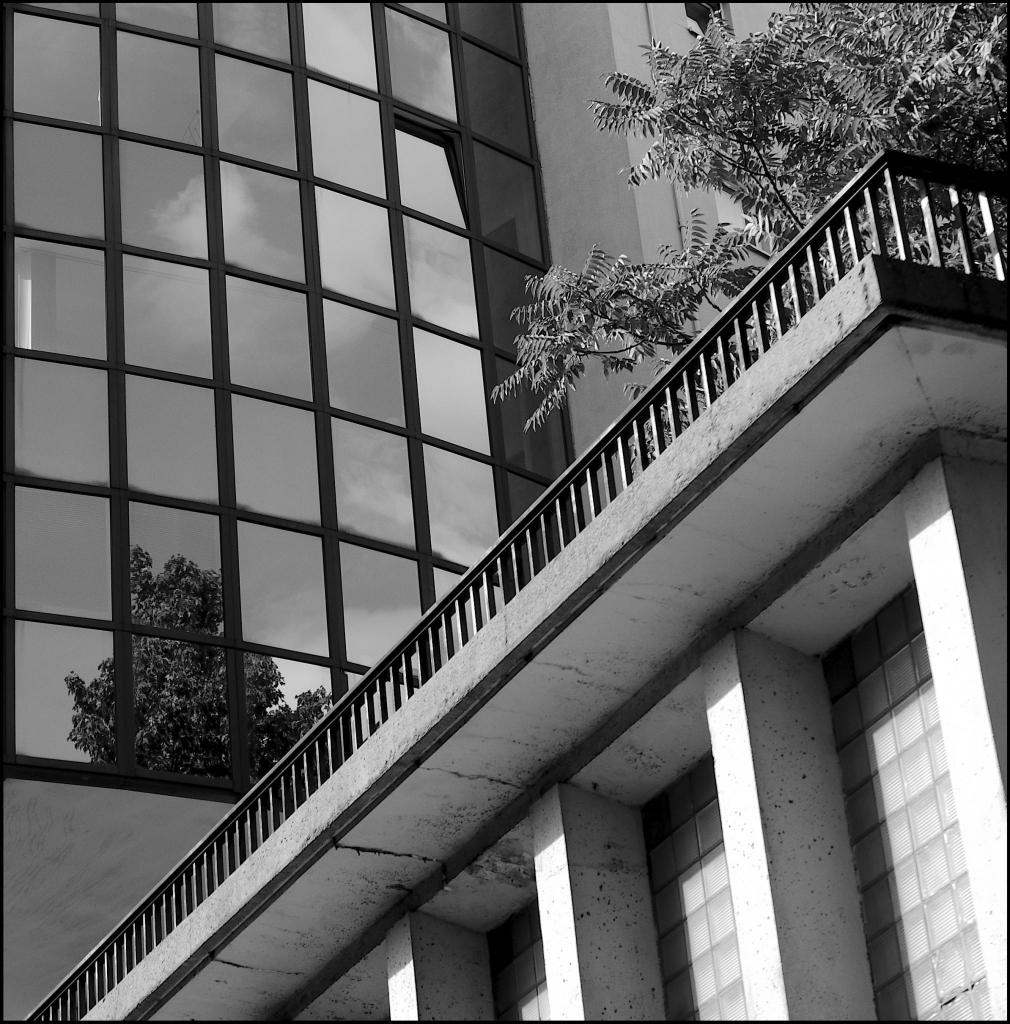 Berlin Q sw  D7K3051