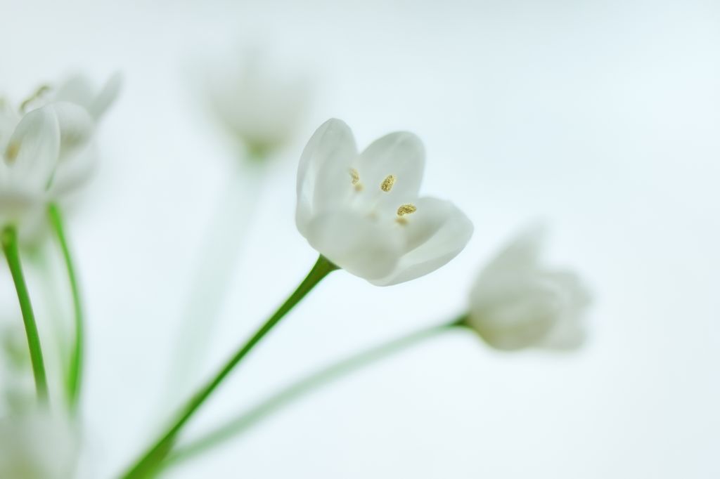 best of five 002 2010