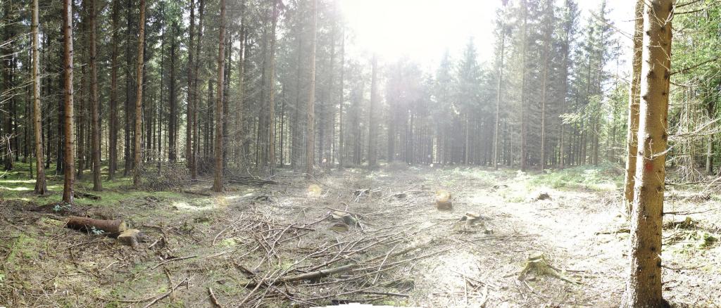 Bestand 1 Panorama