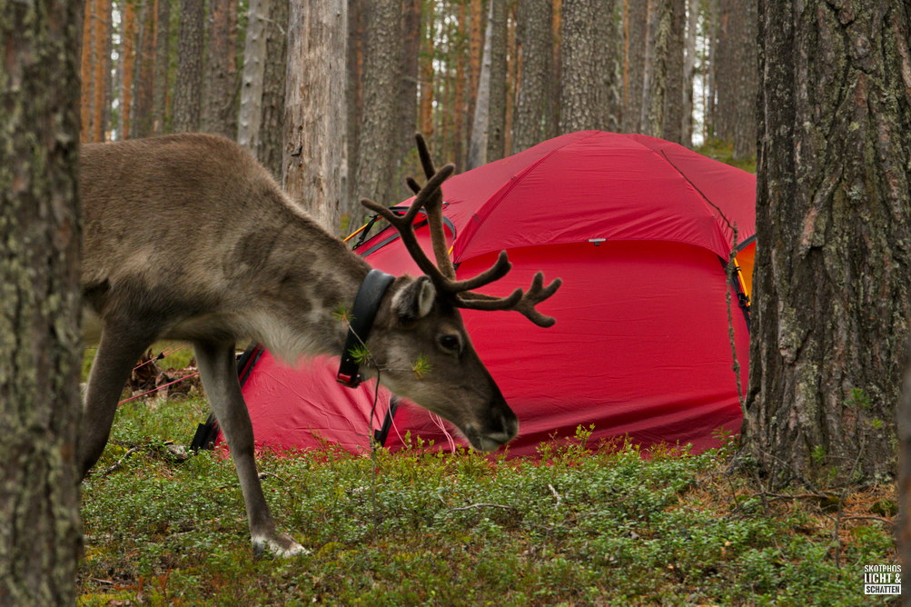 Besuch | Hossa Nationalpark | Suomi