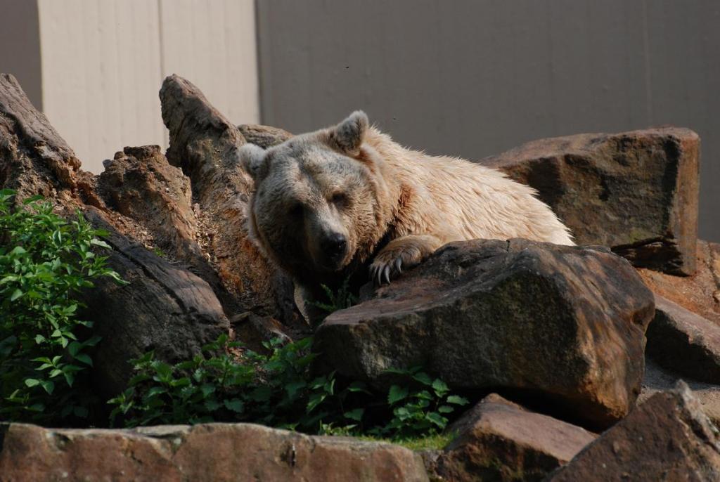 Besuch im ZOO 6