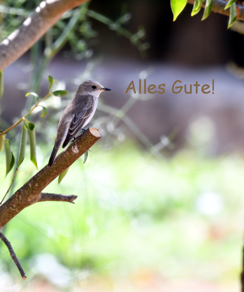 Beutelgruß.jpg