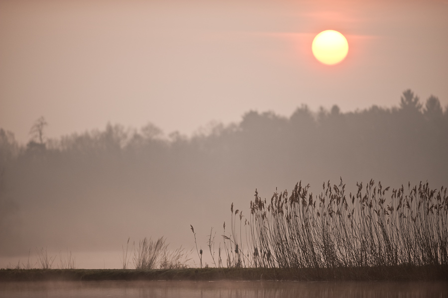 Bi Kastenweiher  DSC 7705 04. April 2009 009