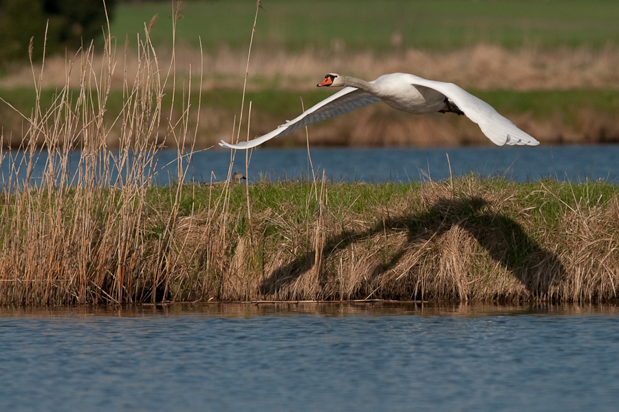 Bi Kastenweiher  DSC 8258 11. April 2009 007