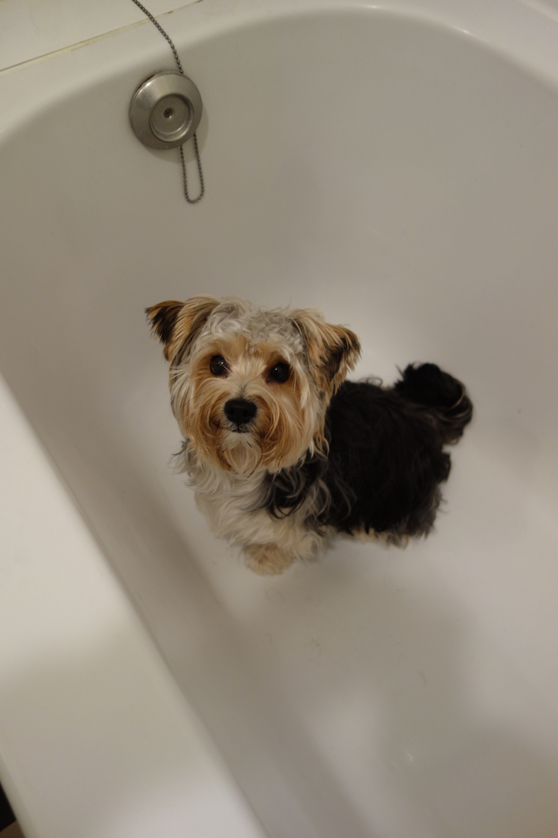 bibobadewanne.jpg