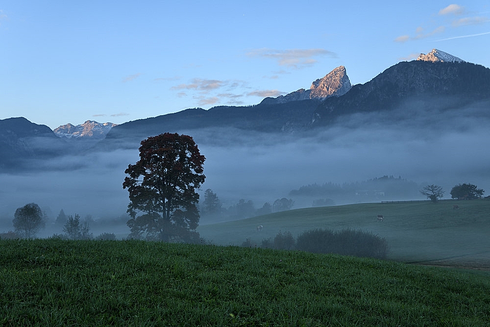 Bild 01