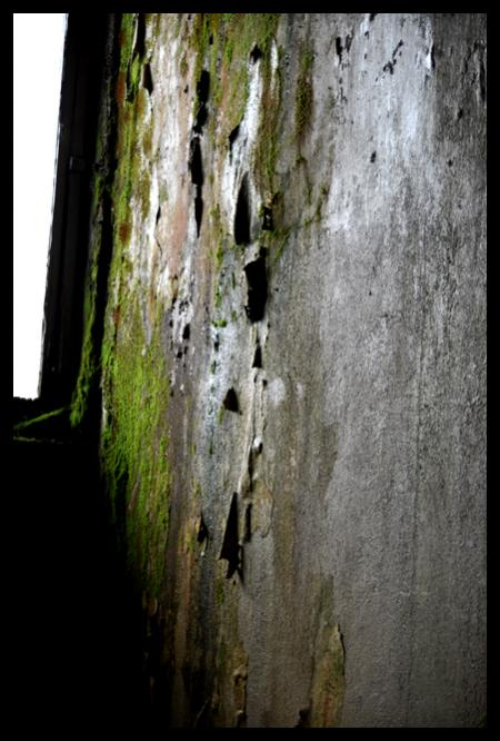 Bild 013