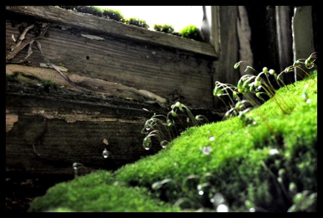 Bild 015