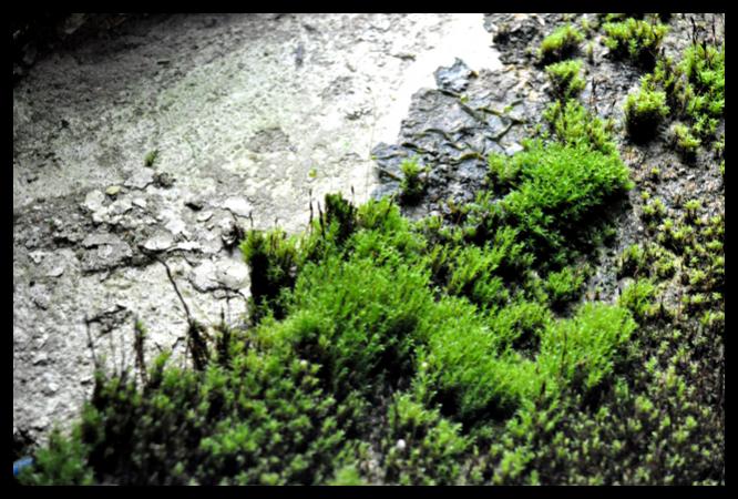 Bild 017