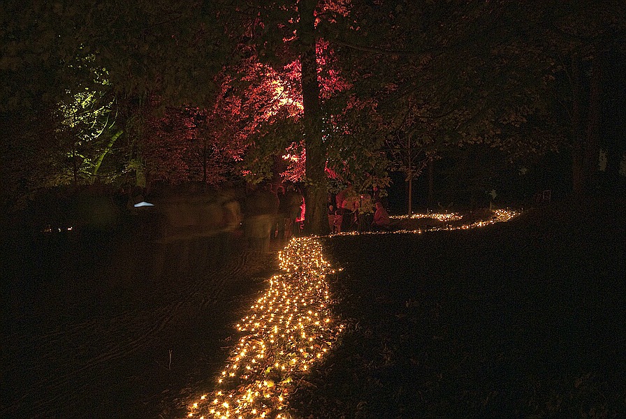 Bild 020