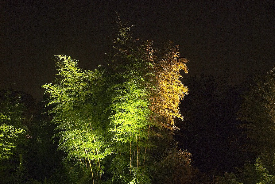 Bild 029