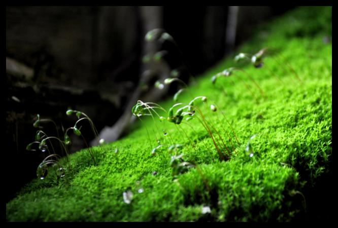 Bild 029