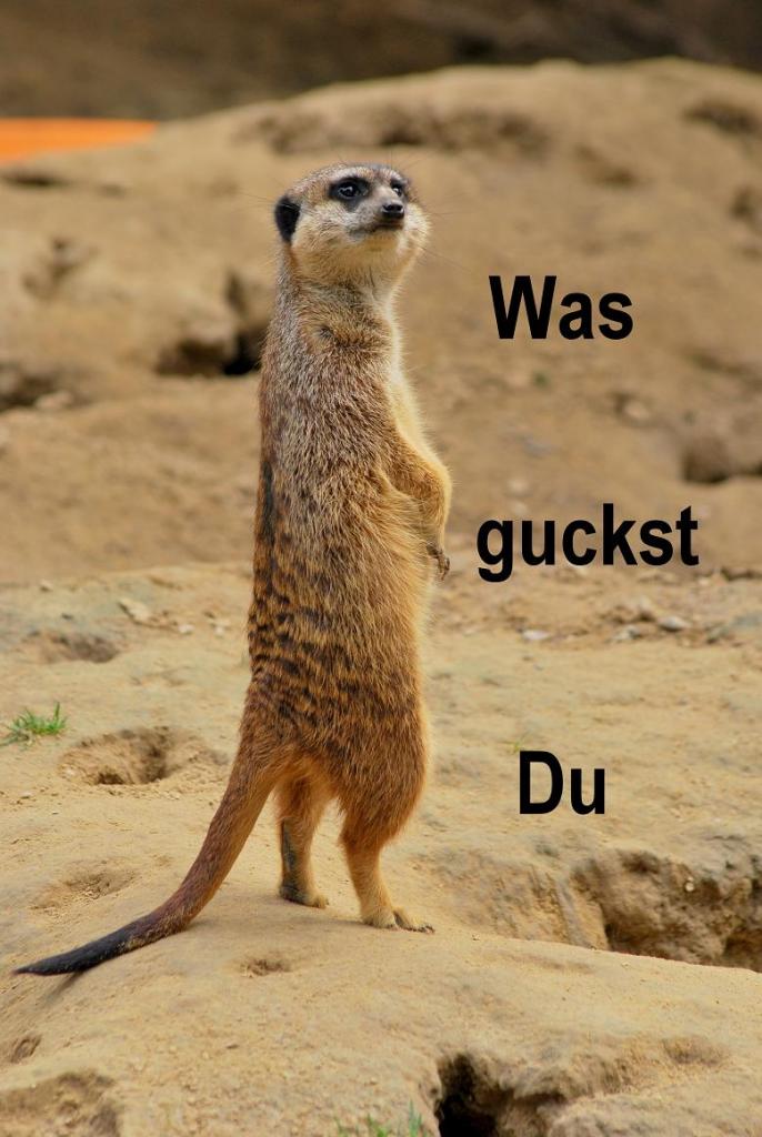 Bild 414 Kopie 1