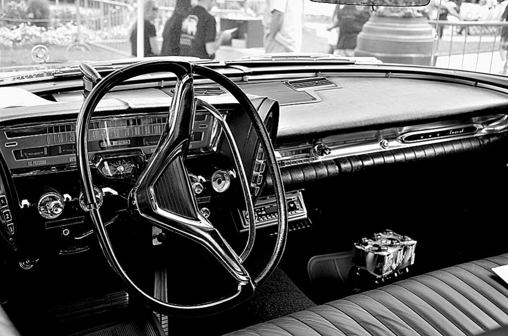 Bild 785bw