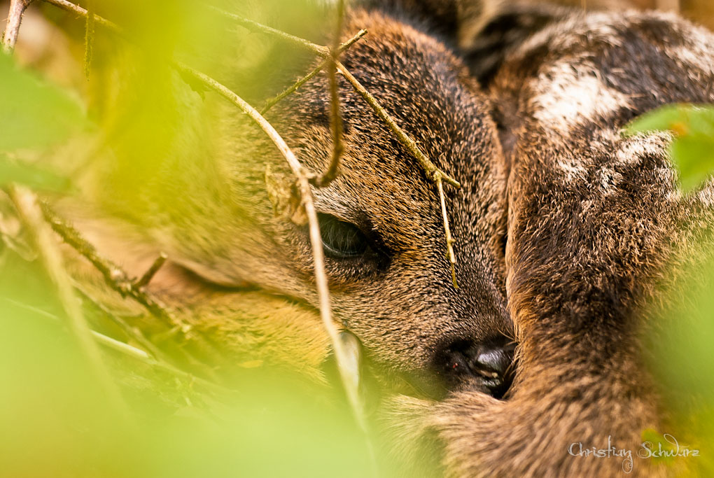 Bild LR3 .19. Mai 2012. .DSC 0002 2