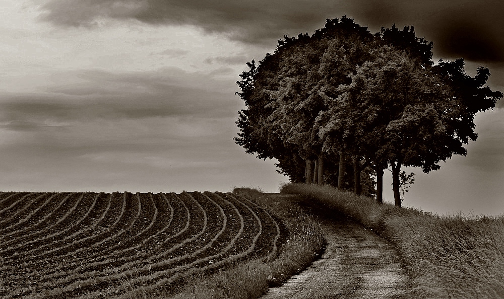 Bild von Nikki
(http://www.nikon-fotografie.de/vbulletin/showthread.php?t=100809)