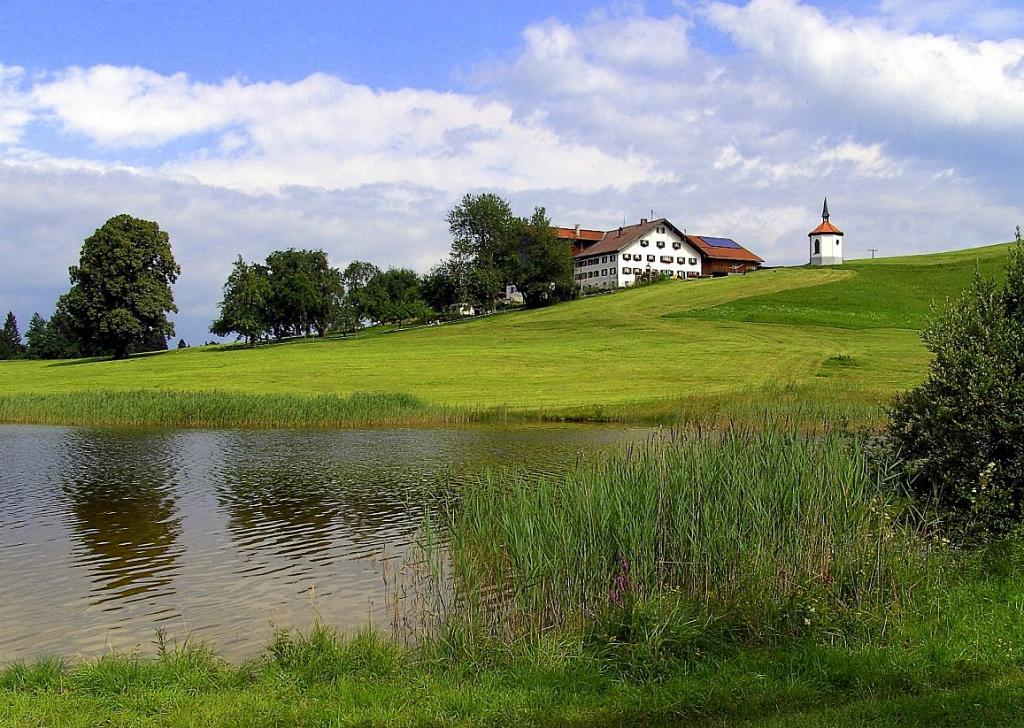 BILD0229
