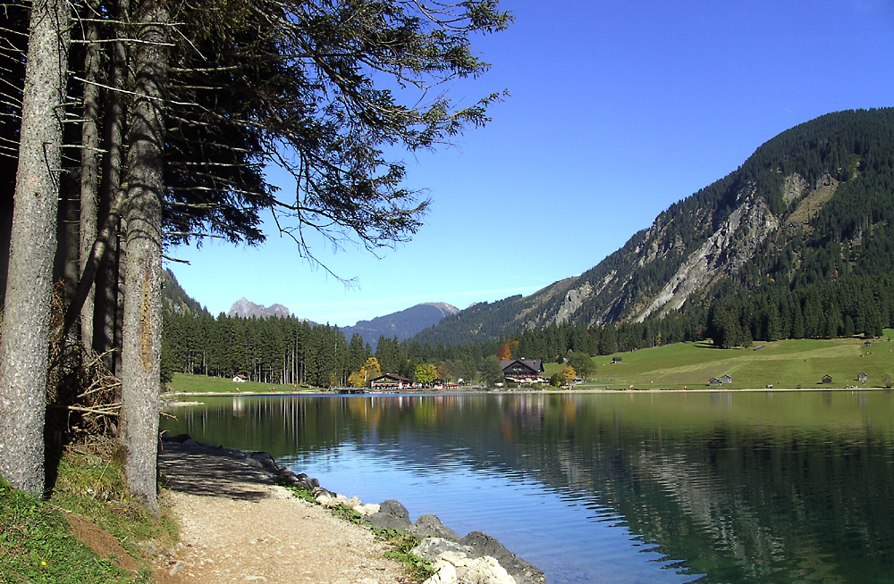BILD0829 1000