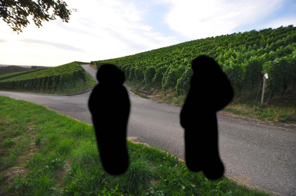 bild3