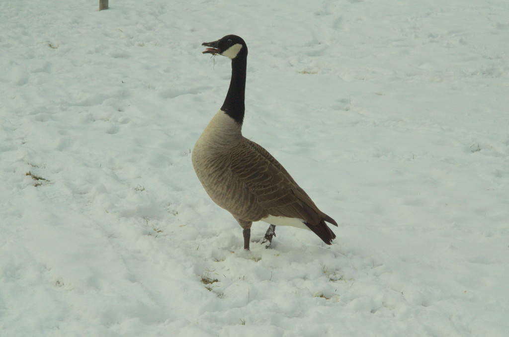 Bilder 24 02 13 237 1
