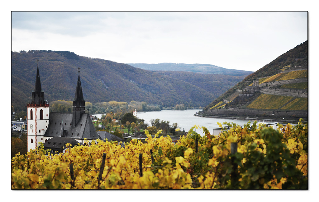 Bingen