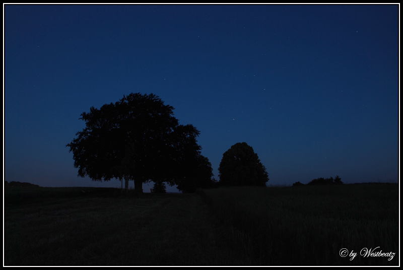 Birlig