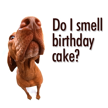 birthday cake