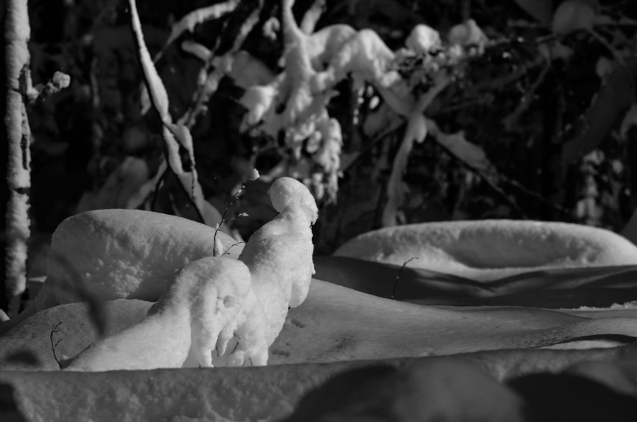 bizarre Figuren