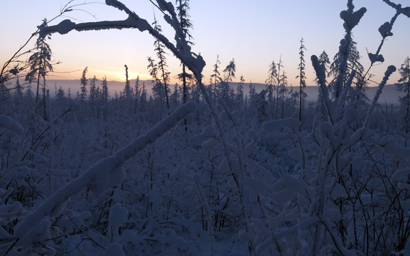 bizarre Winterlandschaft in Jakutien