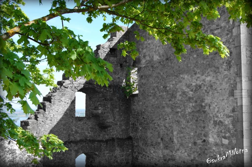 Blätter auf der Burg 1