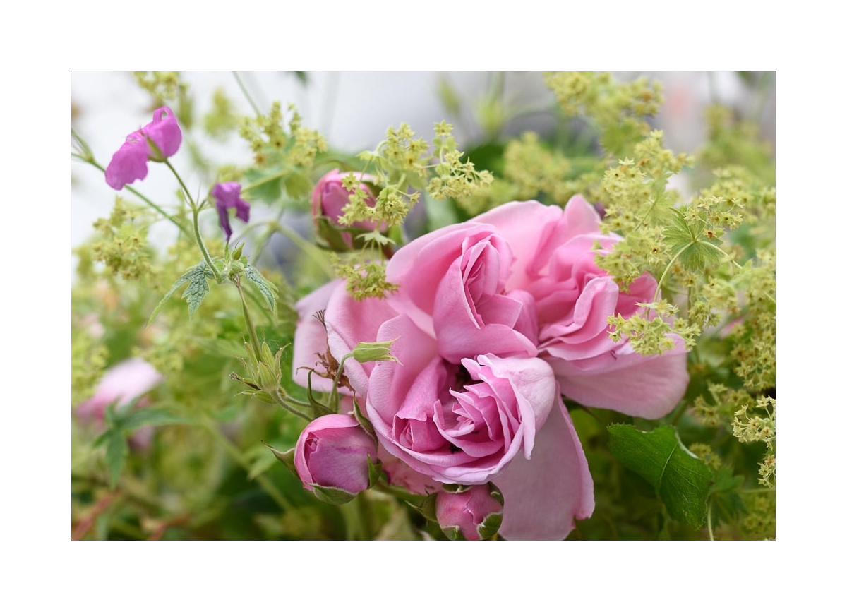 Blüten