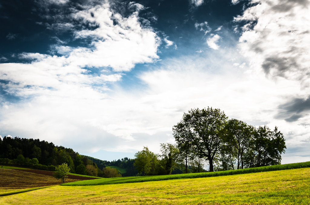 BlackForest_02