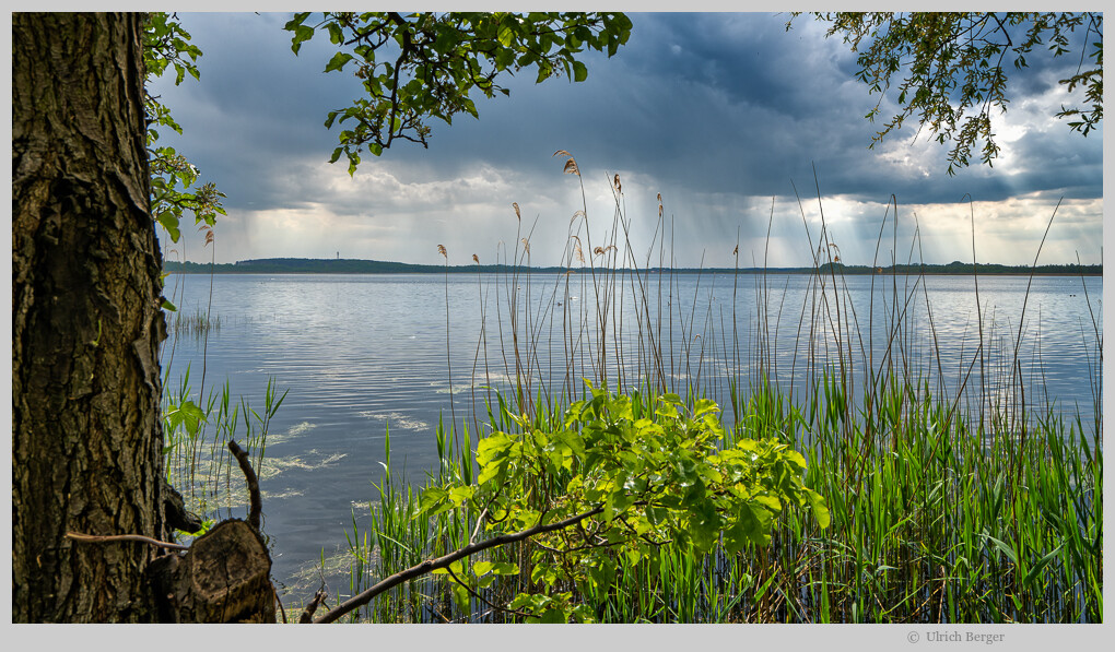 Blankensee