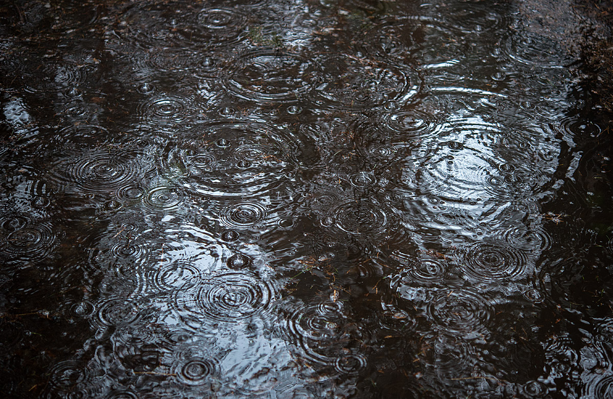 Blasenregen