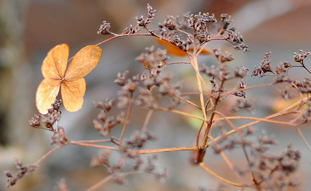 Blatt2