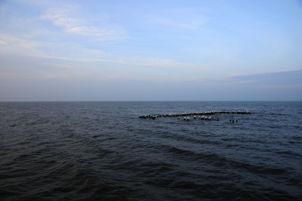 blau (5)