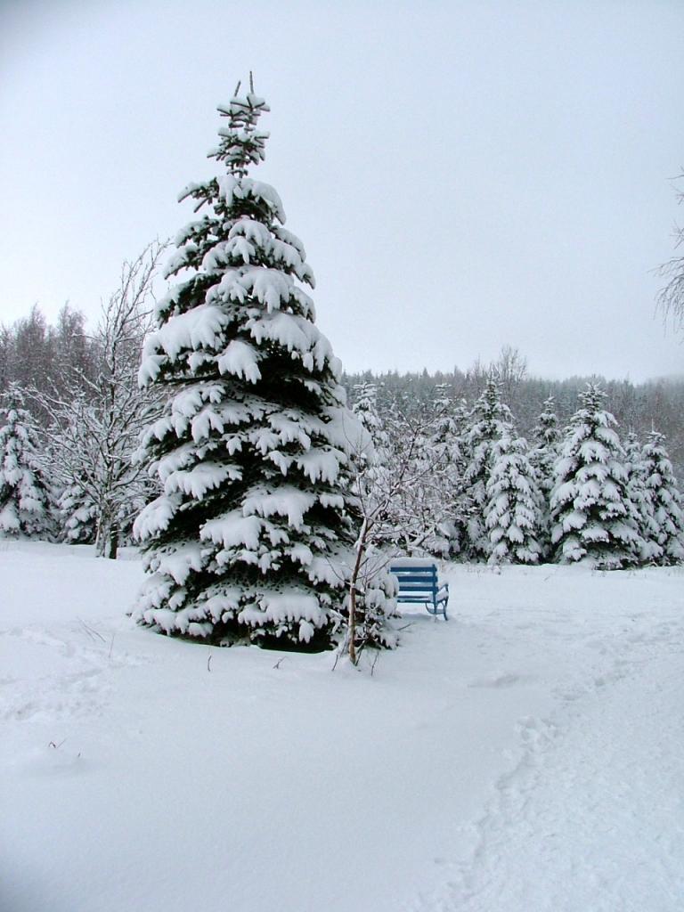 Blaue Bank im Schnee