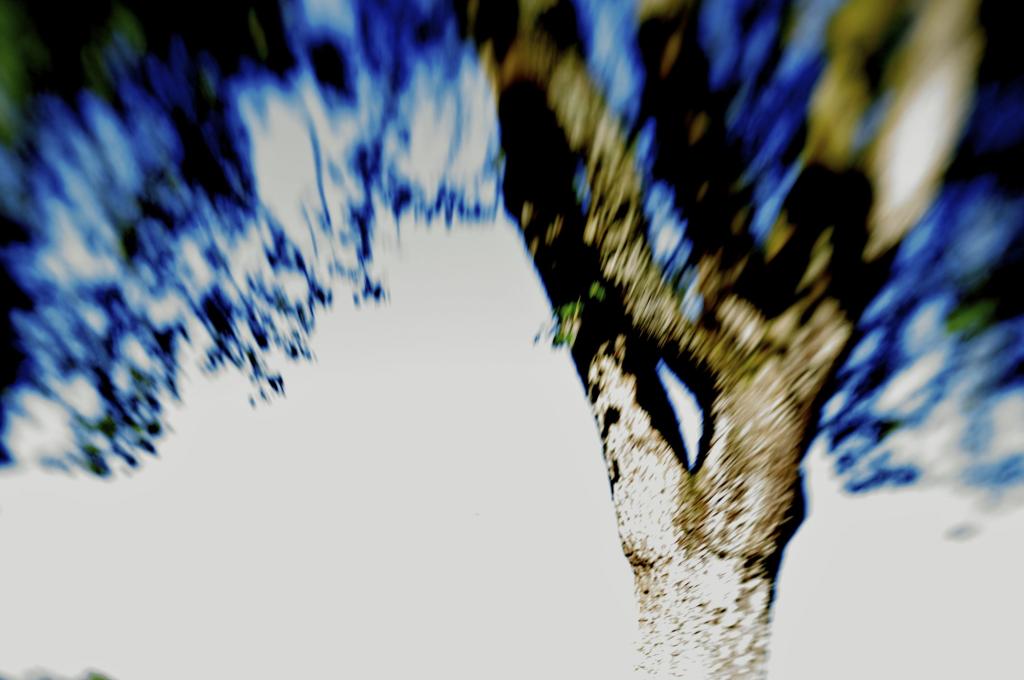 Blauer Baum